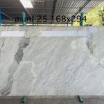 S__14909451