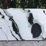 S__17088533
